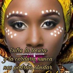 Meet your Posher, Nelvis